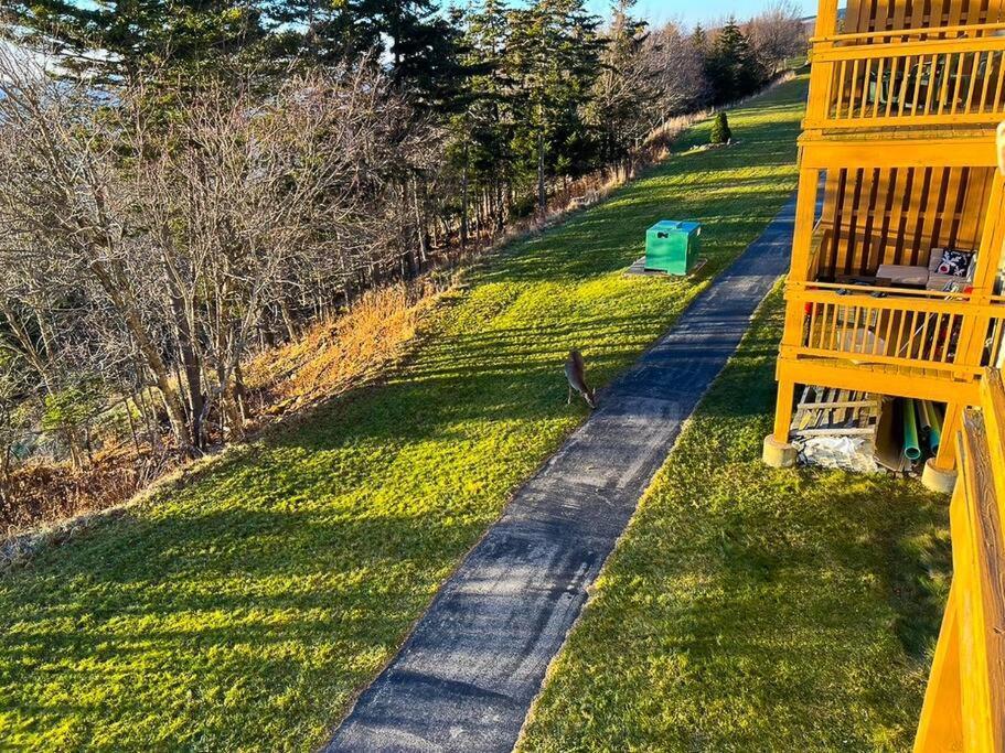 202D Summit - Completely Remodeled Modern Condo In Summit! Snowshoe Extérieur photo